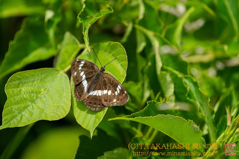 ../Images/7R240715 (97).jpg